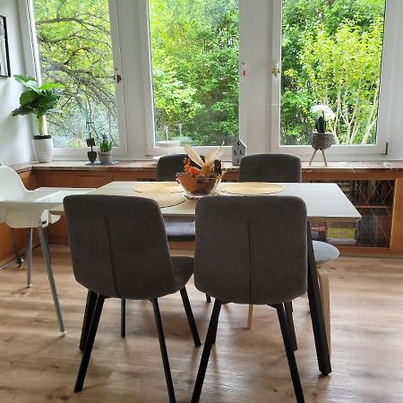 Family Apartment Linz Wohnen Mit Garten Am Fusse Des Poestlingbergs Top Lage Villenviertel Eksteriør bilde