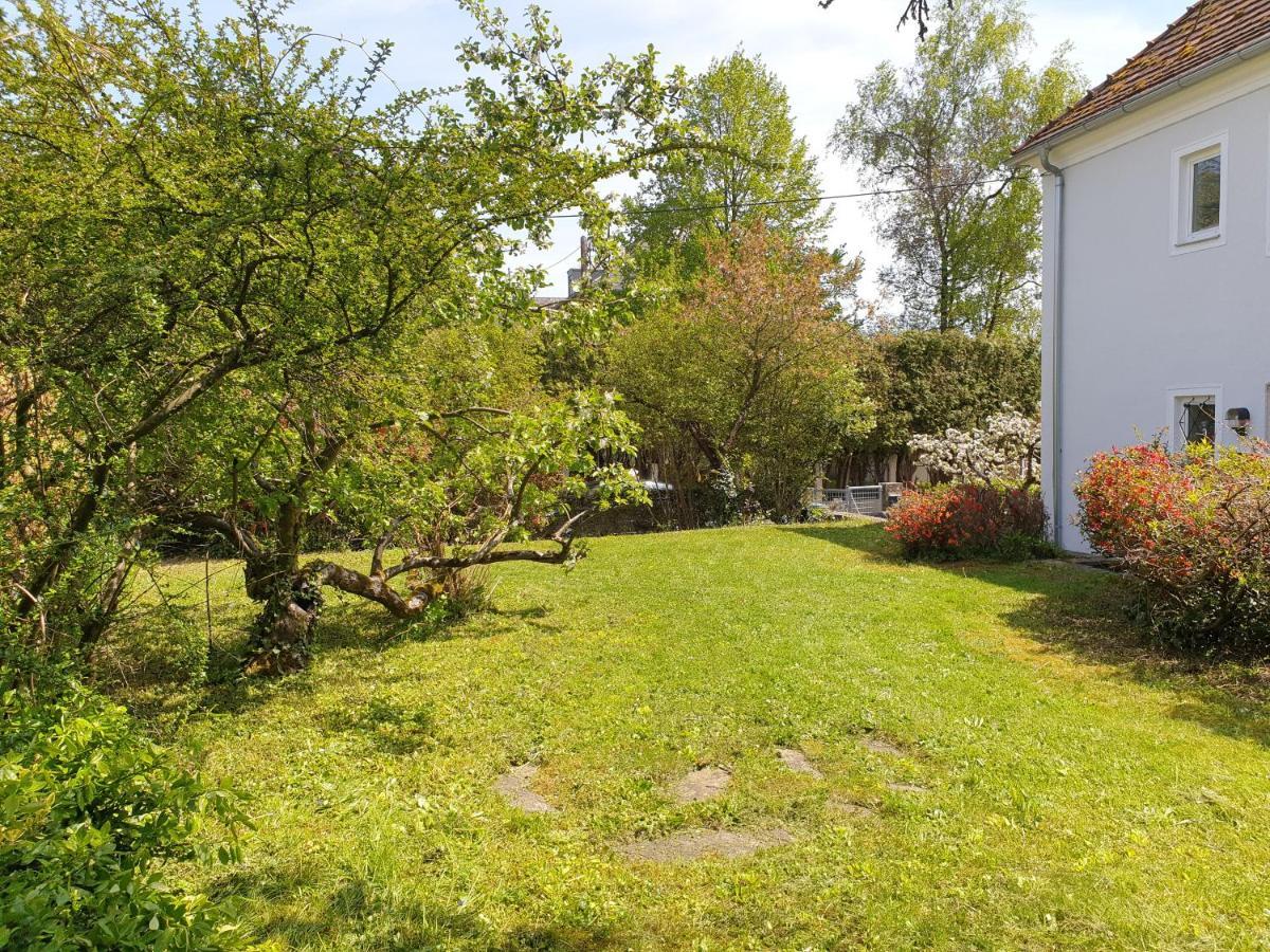 Family Apartment Linz Wohnen Mit Garten Am Fusse Des Poestlingbergs Top Lage Villenviertel Eksteriør bilde