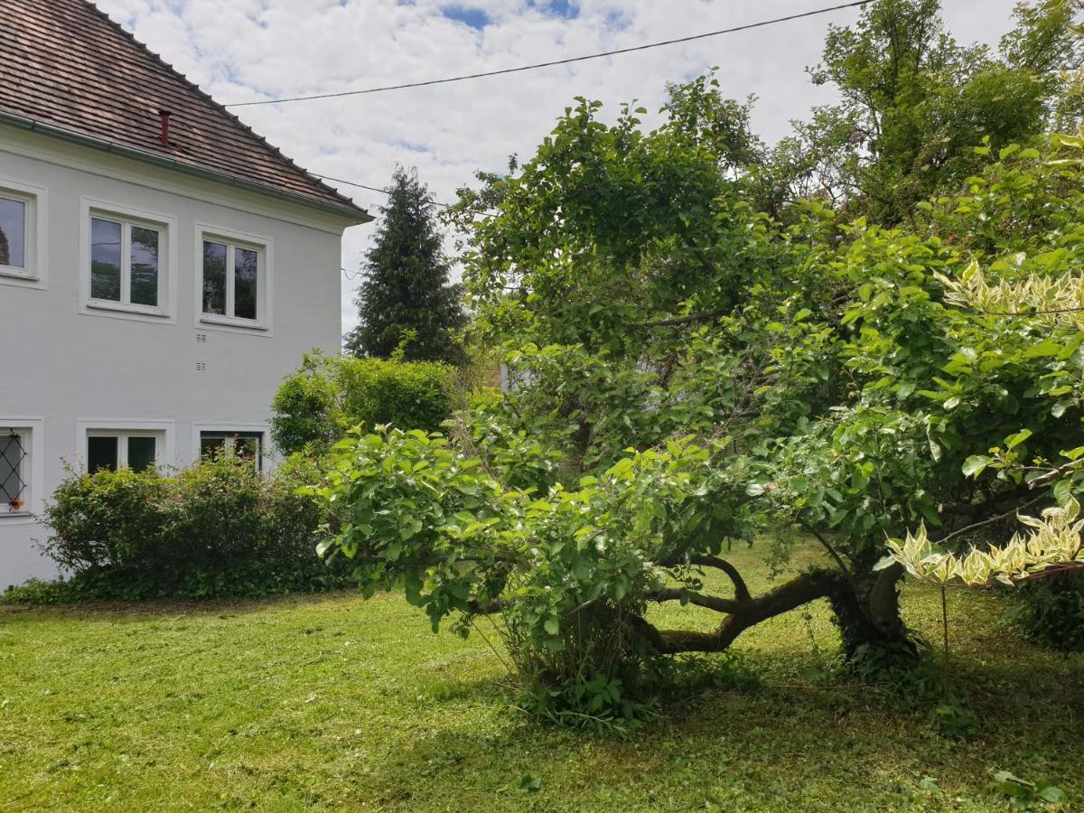 Family Apartment Linz Wohnen Mit Garten Am Fusse Des Poestlingbergs Top Lage Villenviertel Eksteriør bilde