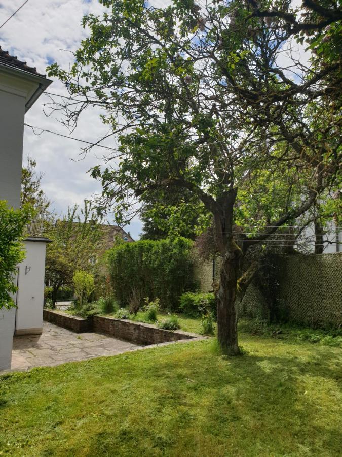 Family Apartment Linz Wohnen Mit Garten Am Fusse Des Poestlingbergs Top Lage Villenviertel Eksteriør bilde