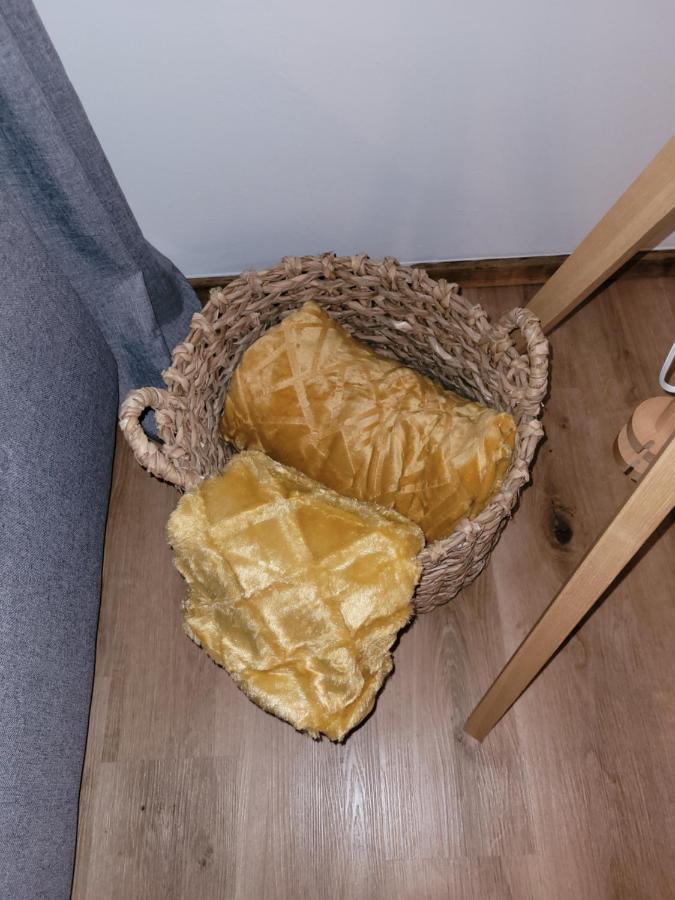 Family Apartment Linz Wohnen Mit Garten Am Fusse Des Poestlingbergs Top Lage Villenviertel Eksteriør bilde