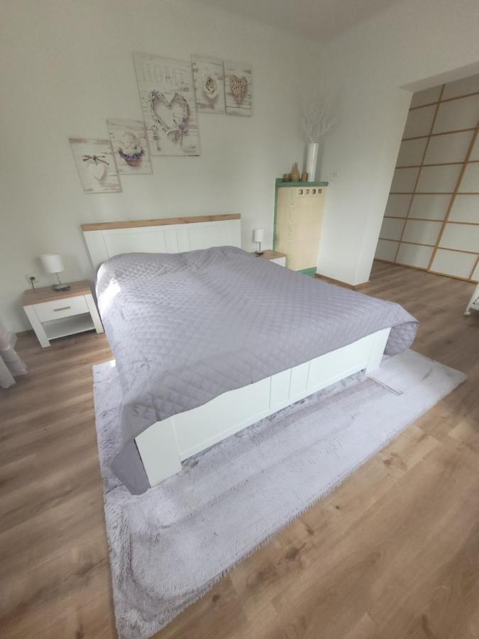 Family Apartment Linz Wohnen Mit Garten Am Fusse Des Poestlingbergs Top Lage Villenviertel Eksteriør bilde