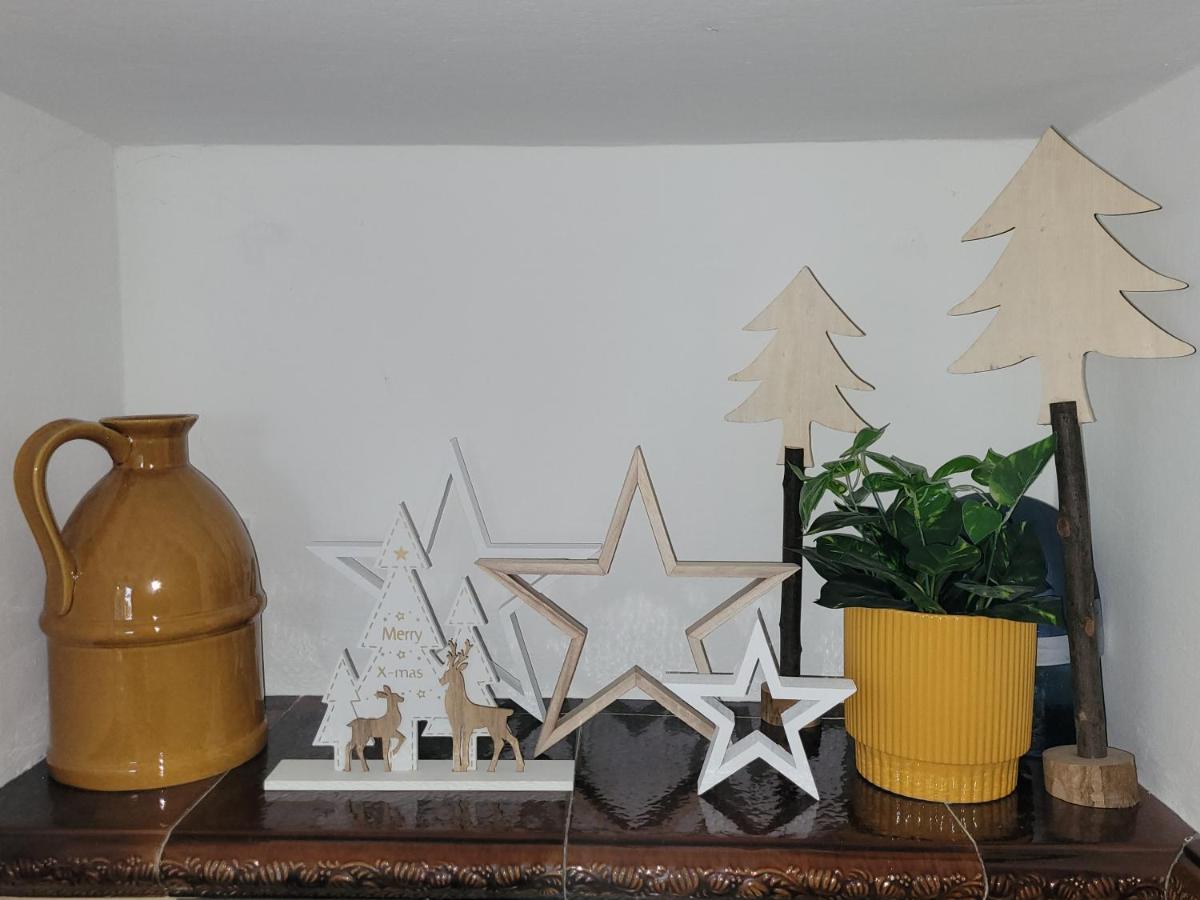 Family Apartment Linz Wohnen Mit Garten Am Fusse Des Poestlingbergs Top Lage Villenviertel Eksteriør bilde